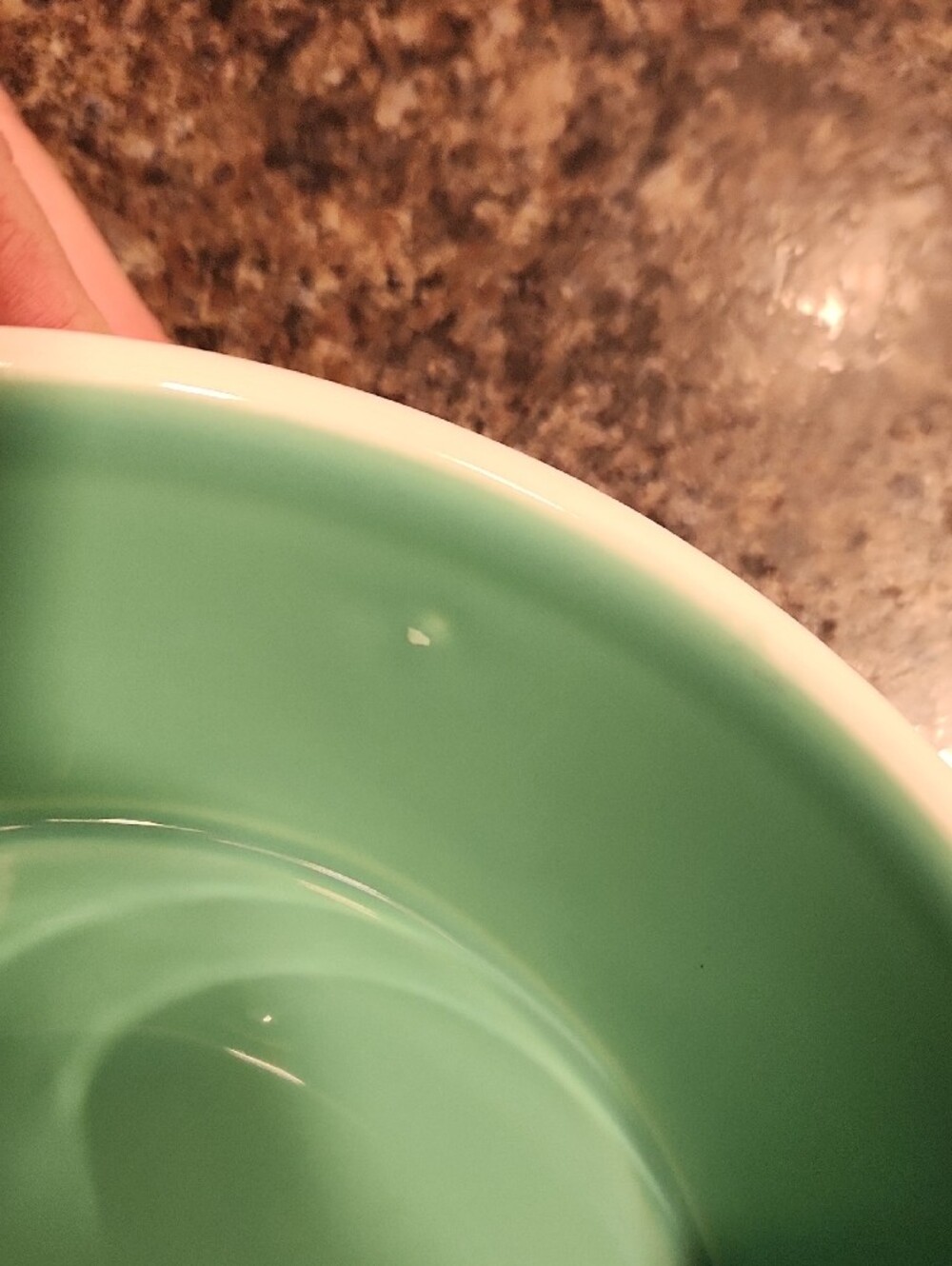 Rae Dunn White Ceramic Pet Bowl with Teal Interior - SLURP - Picture 5 of 5